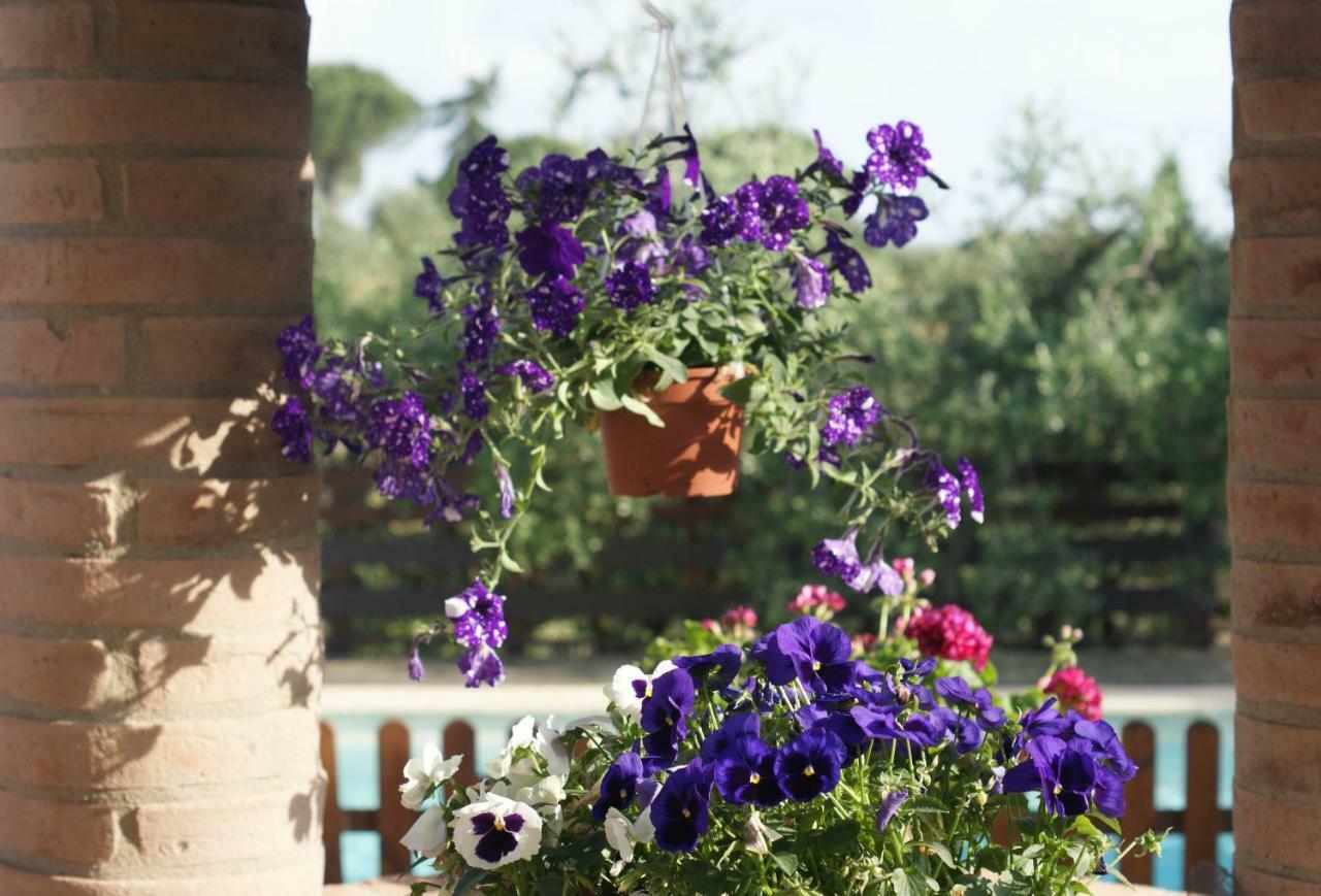 Casa Vacanze L'Oliveta سيينا المظهر الخارجي الصورة