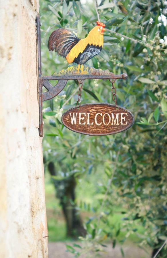 Casa Vacanze L'Oliveta سيينا المظهر الخارجي الصورة